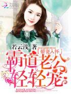 霸道老公娇俏妻