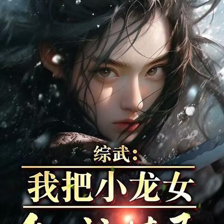 综武侠之白云小龙女