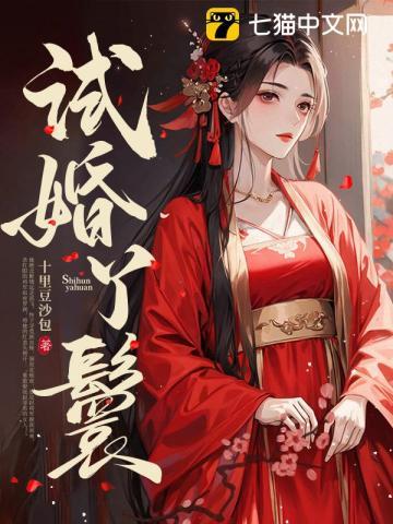 试婚丫鬟苏小在线阅读免费