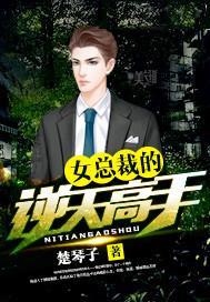 主角叶倾城楚天辰