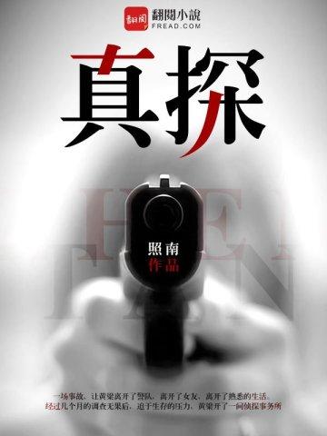 真探第二案