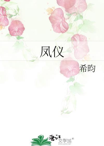 凤仪机场到洱海有多远
