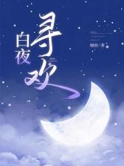 白夜追凶结局