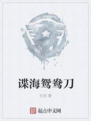 谍海鸳鸯刀TXT全本
