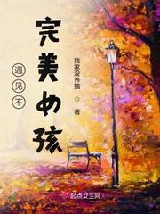 一个完美女孩的离世 夜线