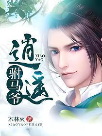 大唐逍遥驸马爷小