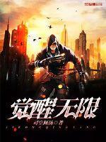 无限觉醒系统