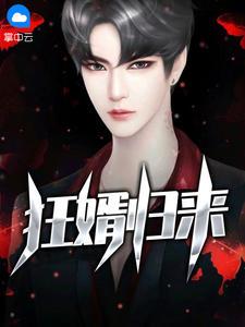 狂婿归来 作者叶宇