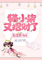 猫小柒是什么意思